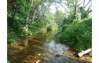 Property photo 5 - 480+/- Acres Offered in 6 Tracts
